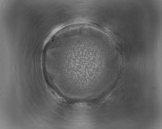 X0000078300244200611172155