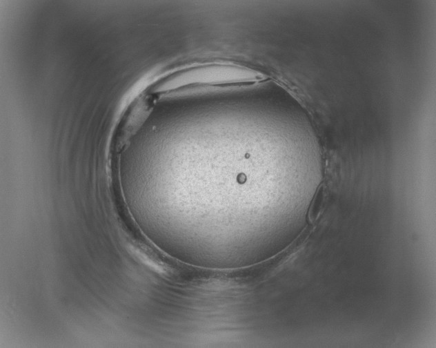 X0000078300246200611172155