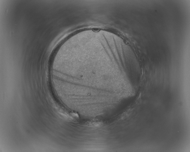 X0000078300247200611172155