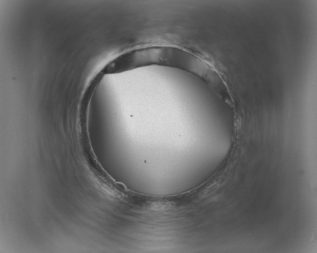 X0000078300248200611172155