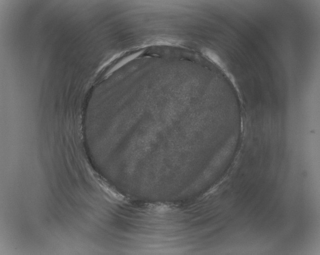 X0000078300249200611172155