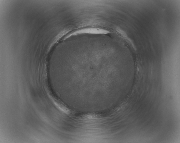 X0000078300250200611172155