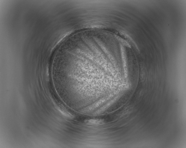 X0000078300251200611172155