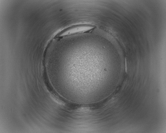 X0000078300252200611172155