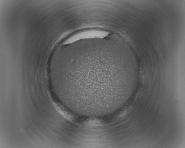 X0000078300256200611172156