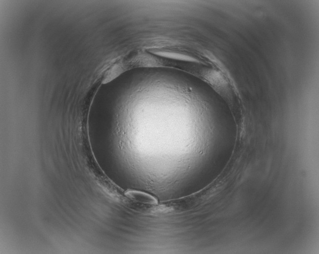 X0000078300257200611172156