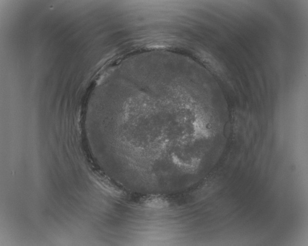 X0000078300258200611172156