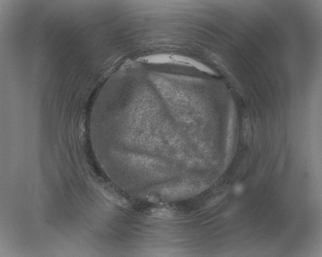 X0000078300259200611172156