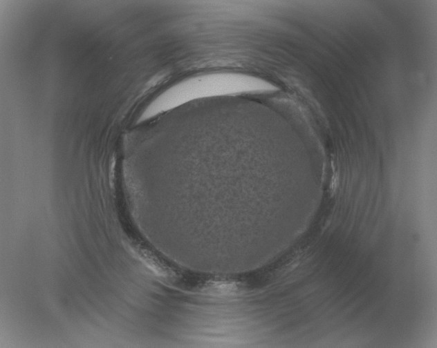 X0000078300260200611172156