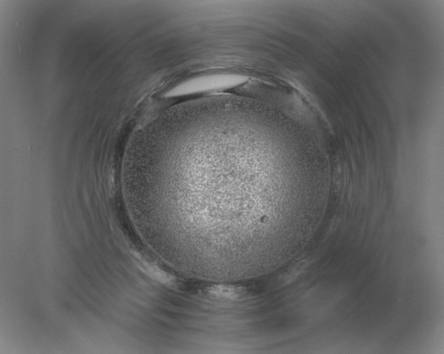 X0000078300261200611172156