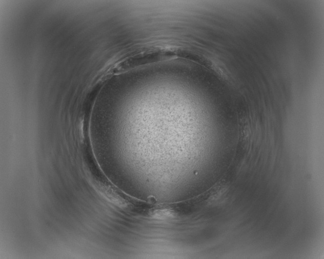 X0000078300262200611172156