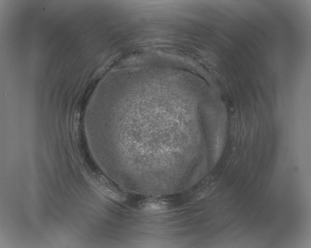 X0000078300263200611172156