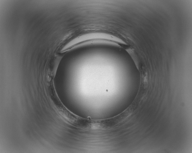 X0000078300264200611172156