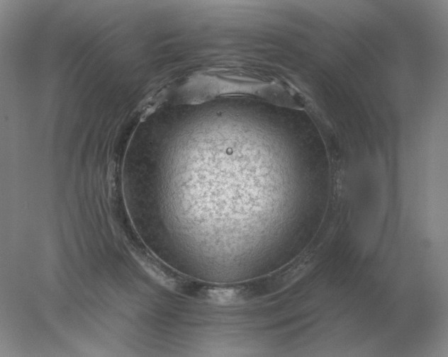 X0000078300265200611172156