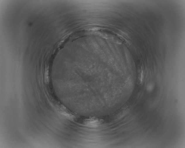 X0000078300267200611172156