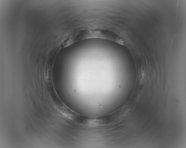 X0000078300268200611172156