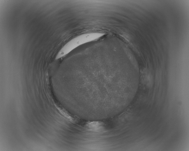 X0000078300269200611172156