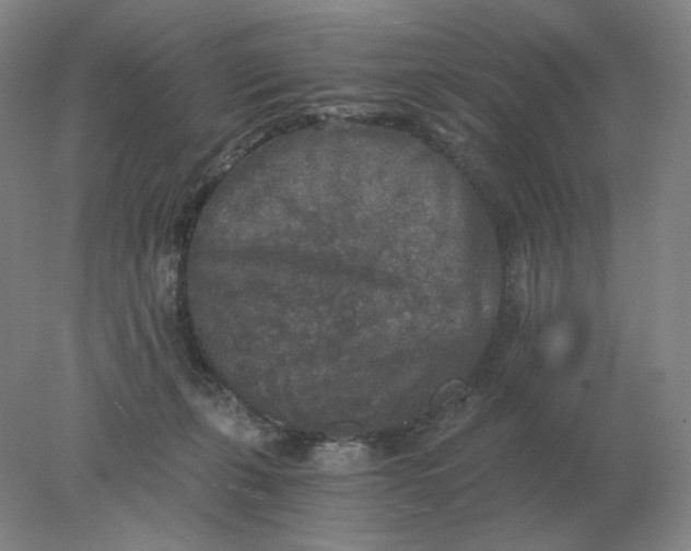 X0000078300271200611172156