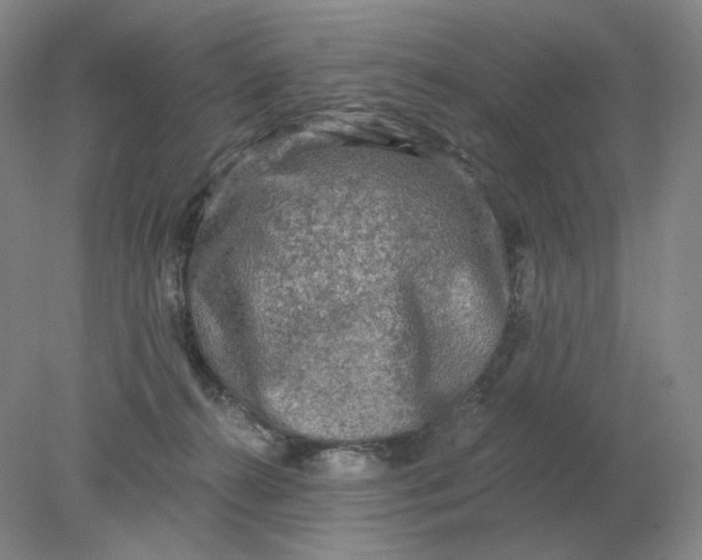 X0000078300272200611172156