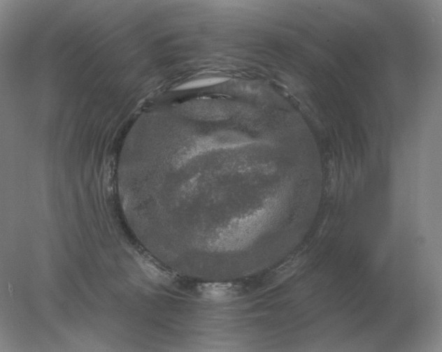 X0000078300273200611172156