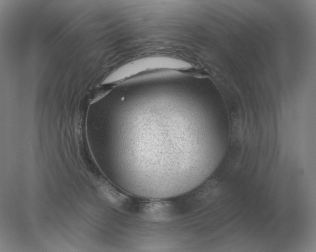 X0000078300274200611172156