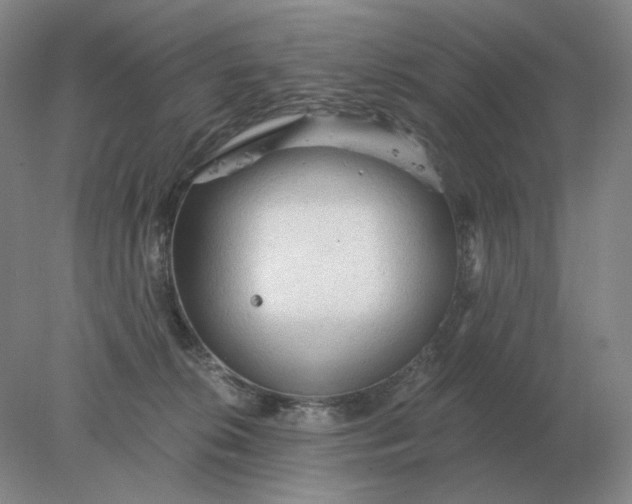 X0000078300276200611172156