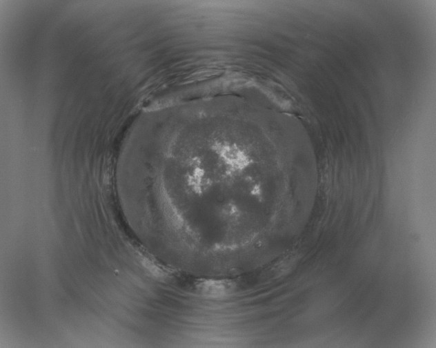 X0000078300277200611172156