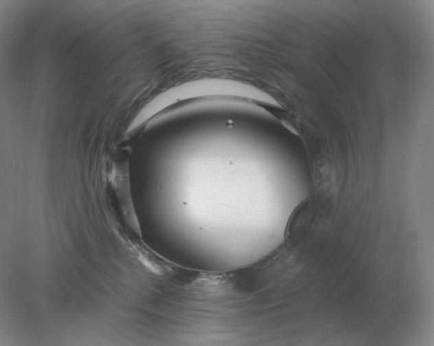 X0000078300280200611172156