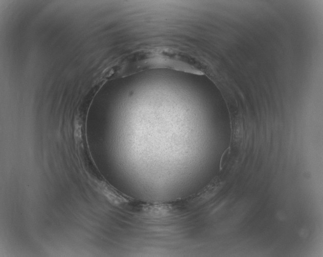 X0000078300282200611172156