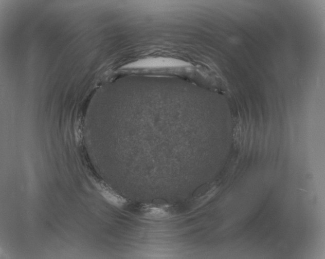 X0000078300285200611172156