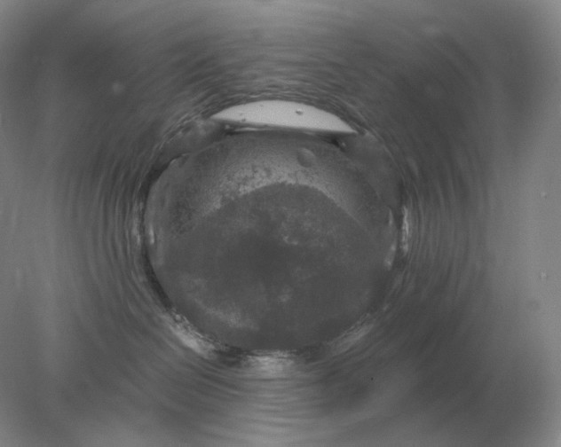 X0000078300286200611172156