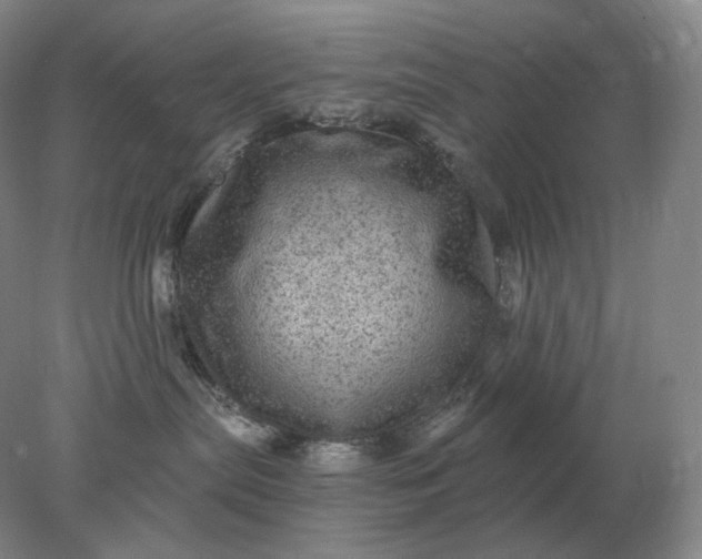 X0000078300287200611172156