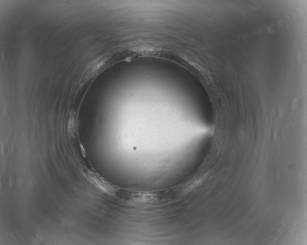 X0000078300288200611172156