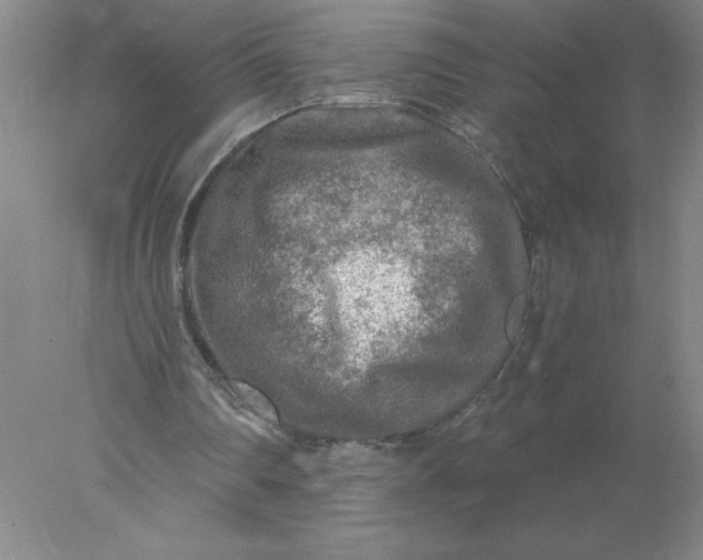 X0000078300290200611172155