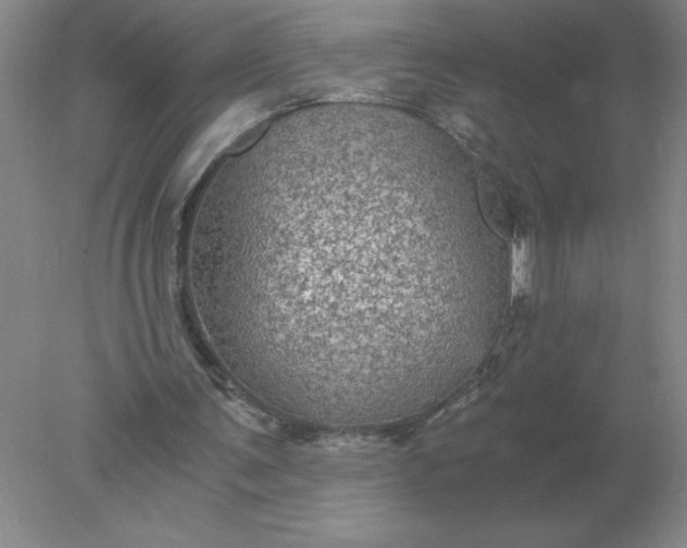 X0000078300291200611172155