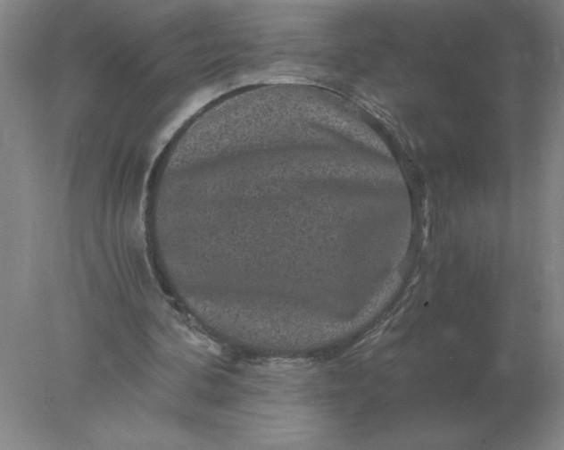 X0000078300292200611172155