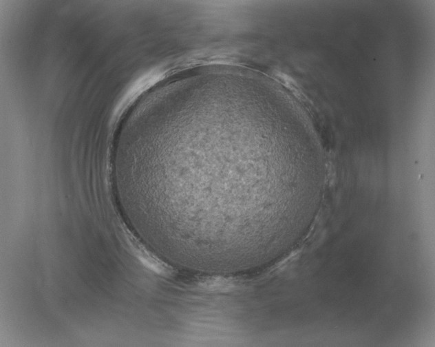 X0000078300293200611172155