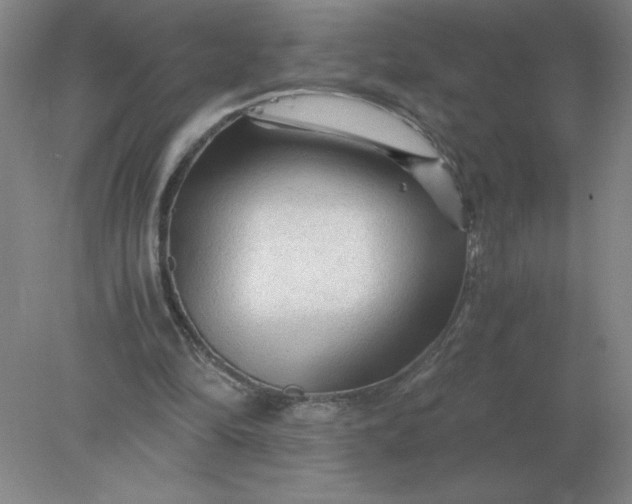 X0000078300294200611172155