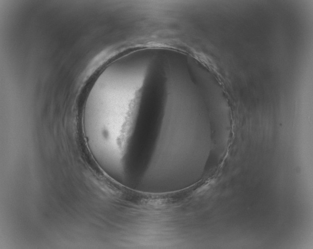 X0000078300295200611172155