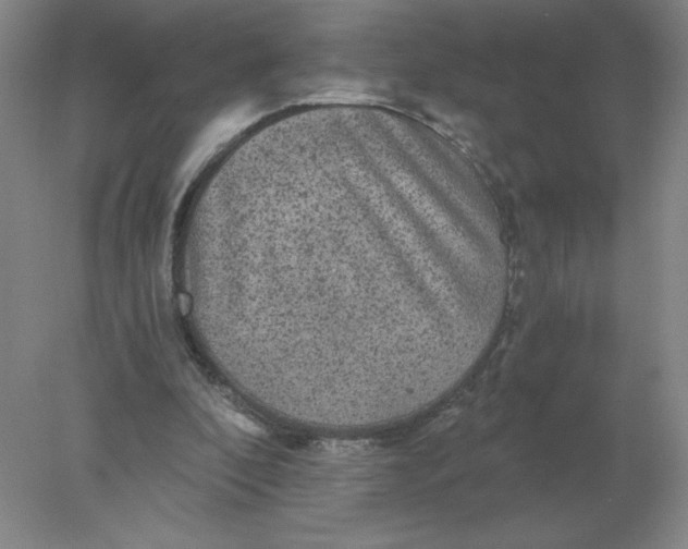 X0000078300296200611172155