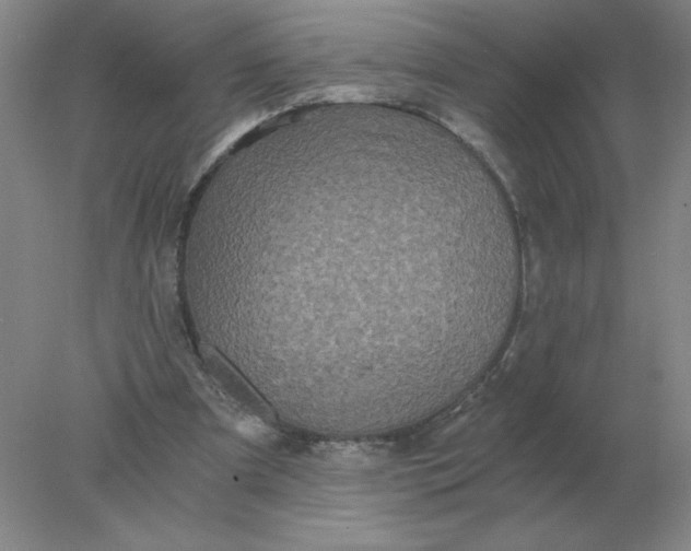 X0000078300297200611172155