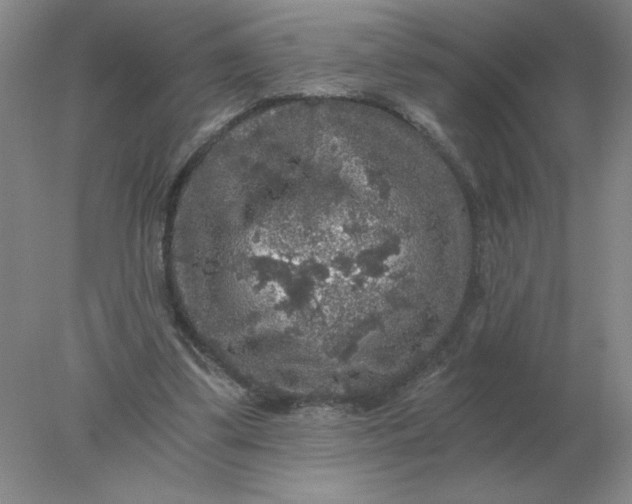 X0000078300299200611172155