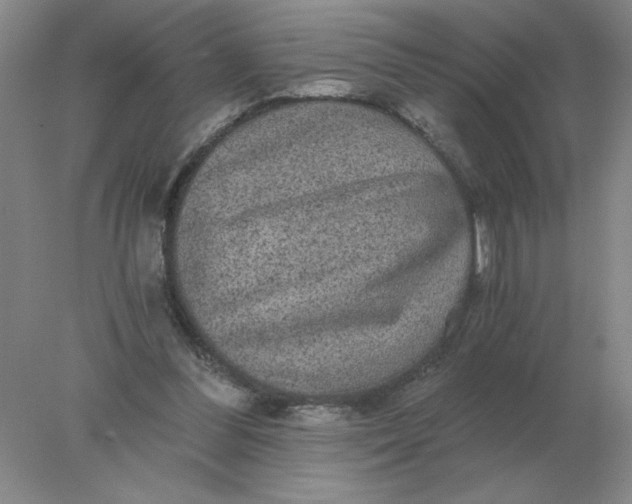 X0000078300300200611172155