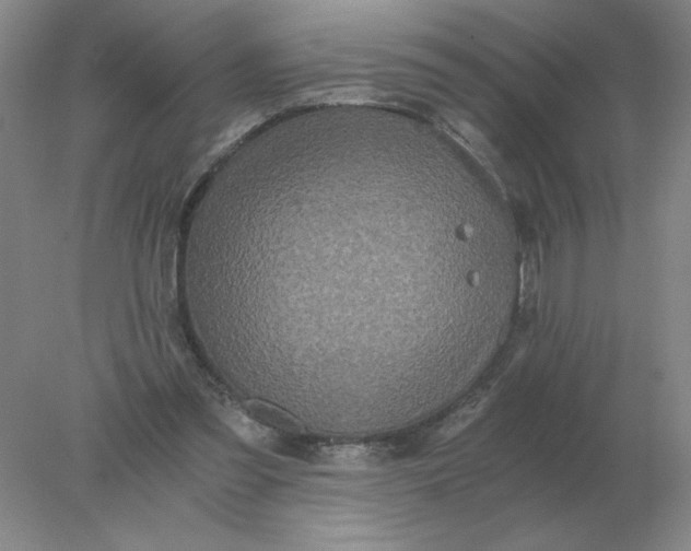 X0000078300301200611172155