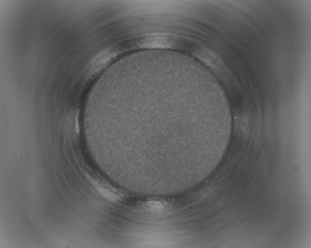 X0000078300302200611172155