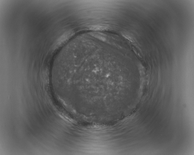 X0000078300303200611172155