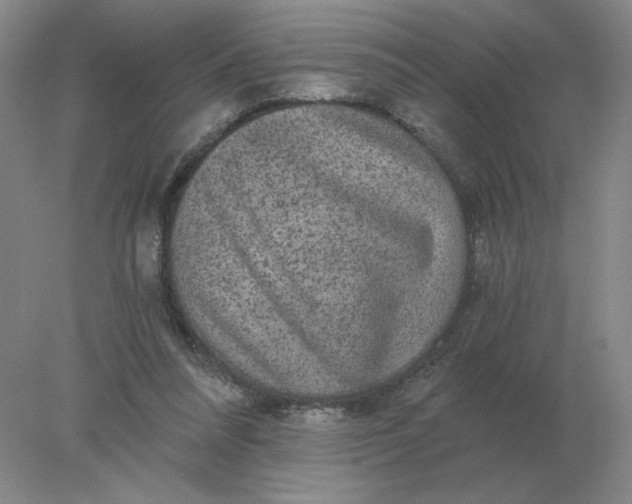 X0000078300304200611172155