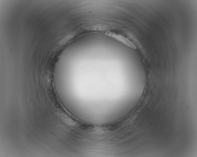 X0000078300305200611172155