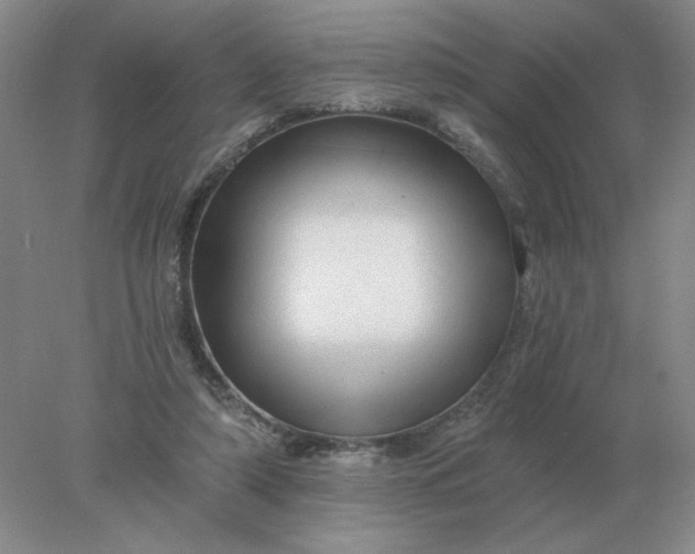 X0000078300306200611172155