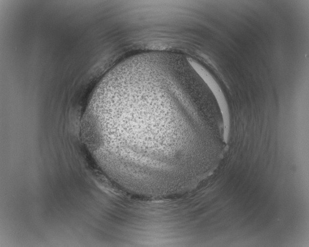 X0000078300307200611172155